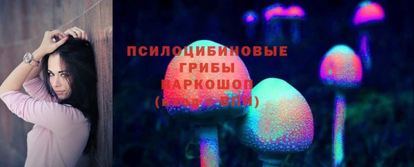 а пвп мука Алзамай