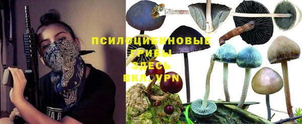 индика Алексеевка