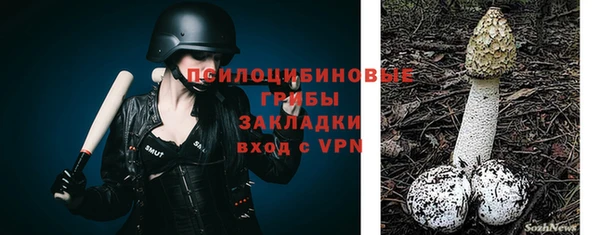 эйфоретик Новозыбков