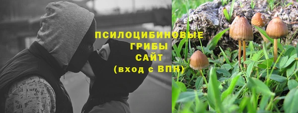 индика Алексеевка